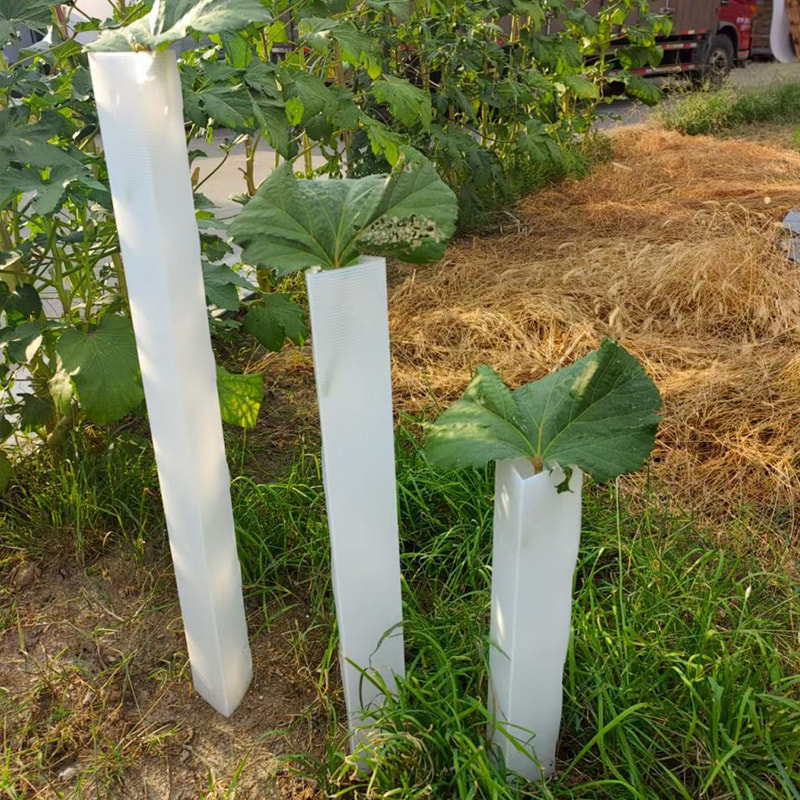 Tiub Perlindungan Pokok Anak Pokok Plastik Beralun Anti Gigitan