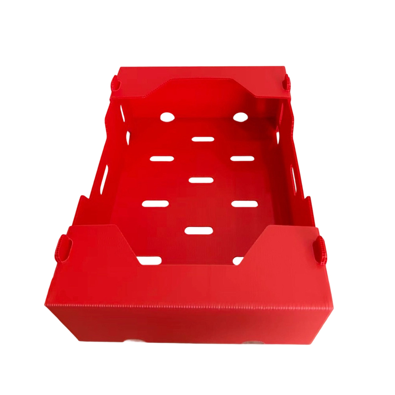 Kotak Beralun PP Bercetak Boleh Dilipat untuk Sayur & Buah